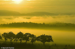 Sonnenaufgang - Zum Vergroessern klicken!